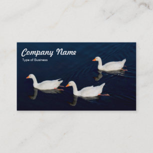 Tarjeta De Visita Tres Geese Emden