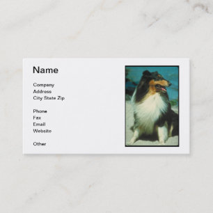 Tarjeta de visita Tri Coloreada del collie