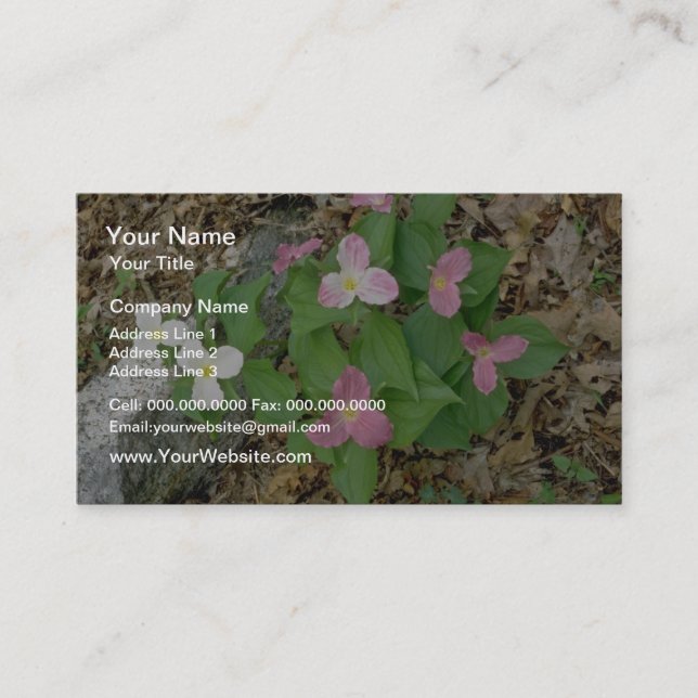 Tarjeta De Visita Trilliums rosados, Quebec, Canadá. flores (Anverso)