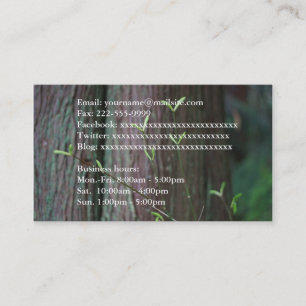 Tarjeta De Visita tronco de árbol y hojas verdes de primavera inform