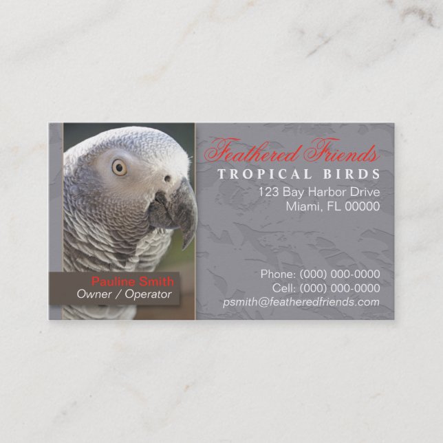 Tarjeta de visita tropical de los pájaros (Anverso)