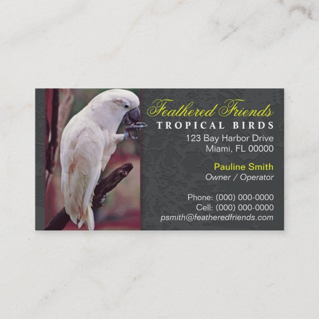 Tarjeta de visita tropical de los pájaros (Anverso)
