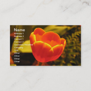 Tarjeta de visita Tulip de naranja