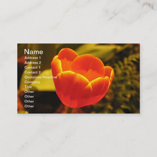 Tarjeta de visita Tulip de naranja (Anverso)