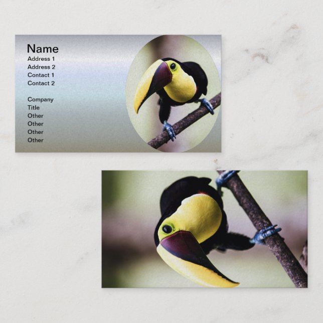 Tarjeta De Visita Turco de Costa Rica (Anverso / Reverso)