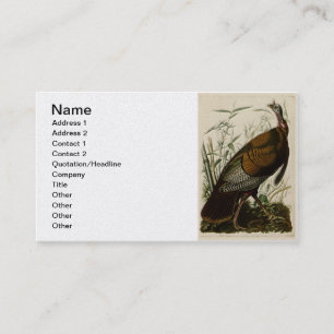 Tarjeta De Visita Turquía salvaje de Juan Audubon