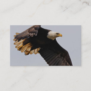 Tarjeta De Visita Un águila calva lleva al cielo