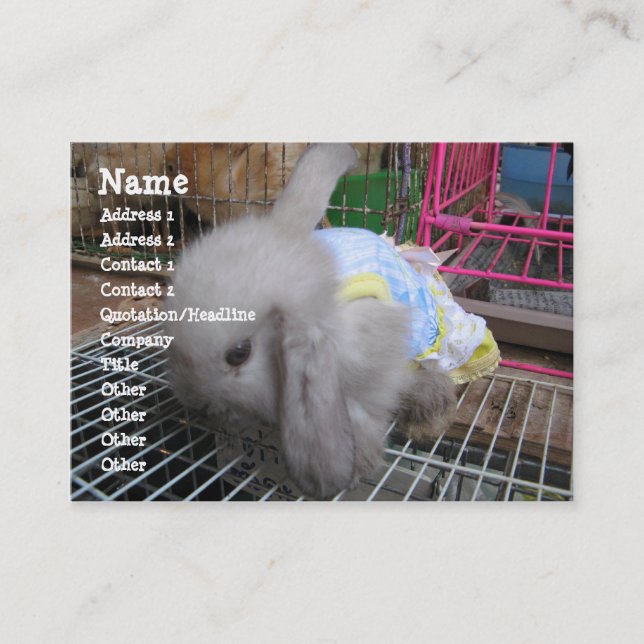 Tarjeta De Visita Un conejo con un vestido (Anverso)