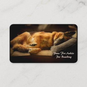 Tarjeta De Visita Un espléndido pastor alemán durmiendo en el sof