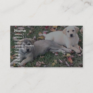 Tarjeta De Visita Un Par De Cachorros Cuestos En La Grasa Verde.