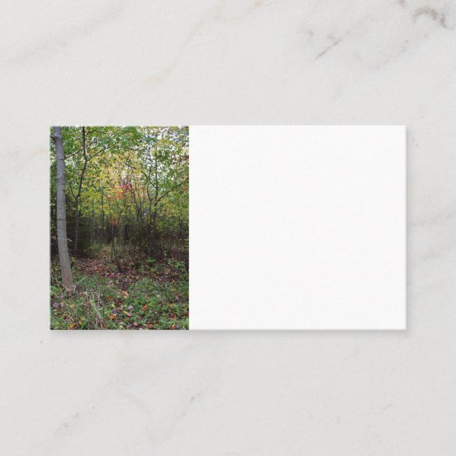 Tarjeta De Visita Un paseo del otoño (Anverso)