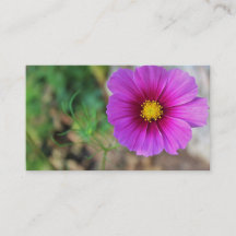 Una galaxia dentro de una flor