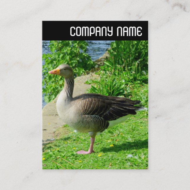 Tarjeta De Visita V Header - Greylag Goose (Anverso)