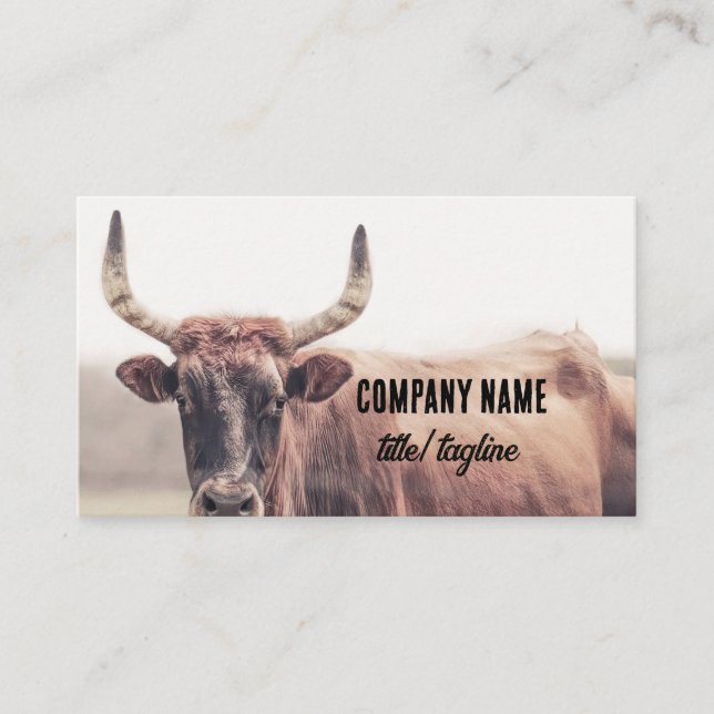 Tarjeta De Visita vaca con fotografía de animales de campo de cuerno (Anverso)