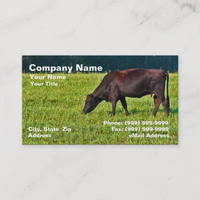 Tarjeta De Visita Vaca de Brown que alimenta en hierba (Anverso)