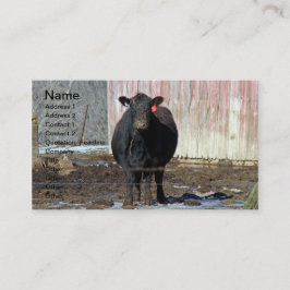Tarjeta De Visita Vaca negra de Angus en invierno