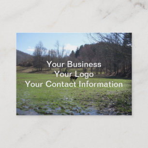 Tarjeta De Visita Vaca solitaria