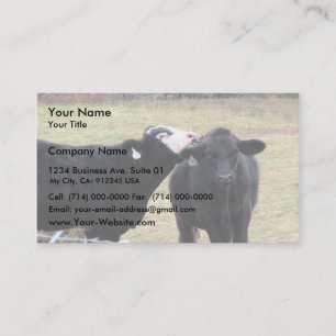 Tarjeta De Visita Vacas de la madre que lamen a su niño