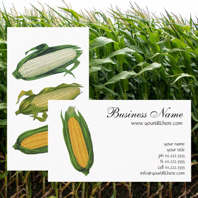 Tarjeta De Visita Vegetales de alimentos de época; maíz amarillo en  (Subido por el creador)