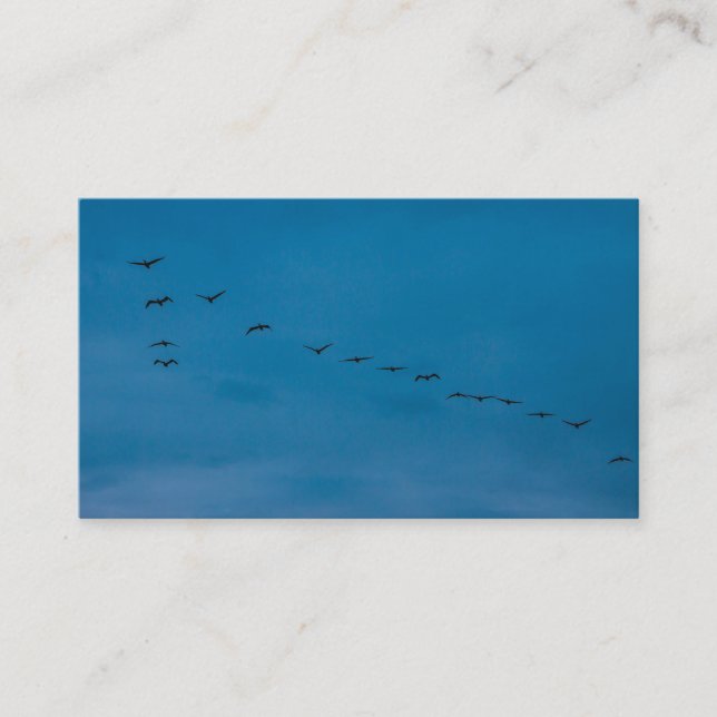 Tarjeta De Visita Verano 2019 Gaviotas buscando comida (Anverso)