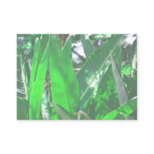 Verano Vibes Palm Tree deja Pastel verde pálido