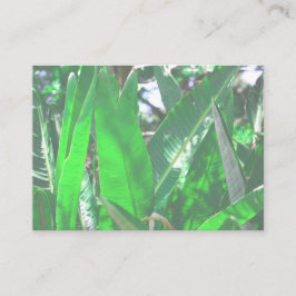 Tarjeta De Visita Verano Vibes Palm Tree deja Pastel verde pálido