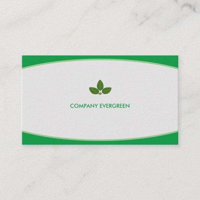 Tarjeta De Visita Verde y Blanco Modernos (Anverso)