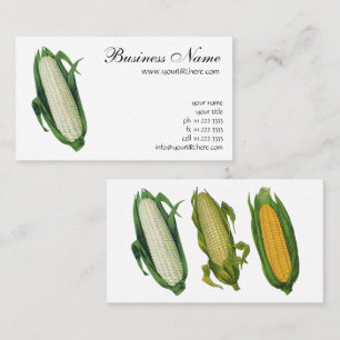 Tarjeta De Visita Verduras de comida vintage Maíz blanco en la mazor