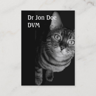 Tarjeta de visita Vet IV