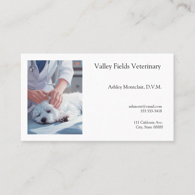 Tarjeta De Visita Veterinario examina perros pequeños (Anverso)