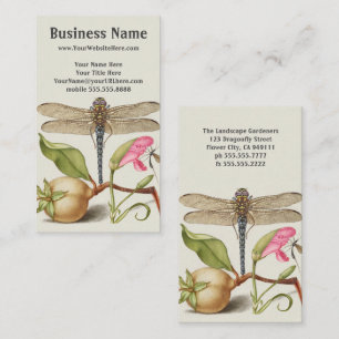 Tarjeta De Visita Vida de jardín, libélula, pera, clavel e insecto