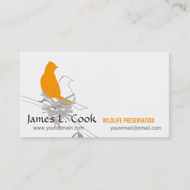 Tarjeta De Visita Vida silvestre Aves naturales extravagantes (Anverso)