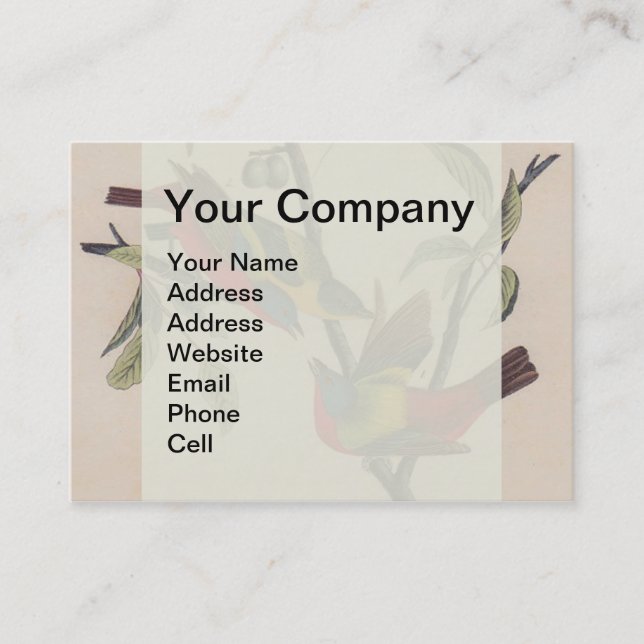 Tarjeta De Visita Vida silvestre de las aves de Bunting de Audubon (Anverso)