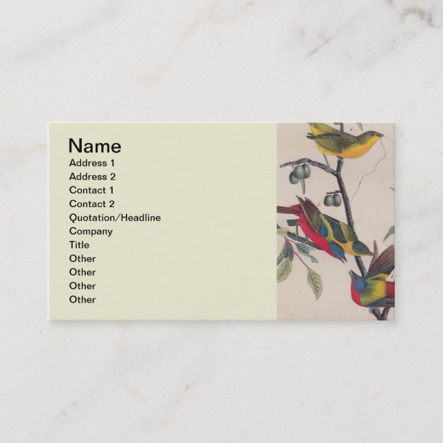 Tarjeta De Visita Vida silvestre de las aves de Bunting de Audubon (Anverso)