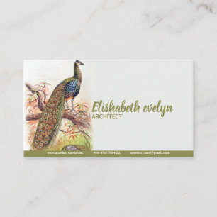 Tarjeta De Visita Viejo arte de la cosecha de pavo real