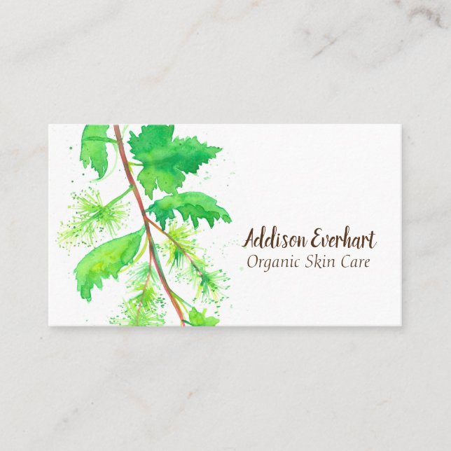 Tarjeta De Visita Vinos de hojas de uva Plantas de fruta acuática Ve (Anverso)