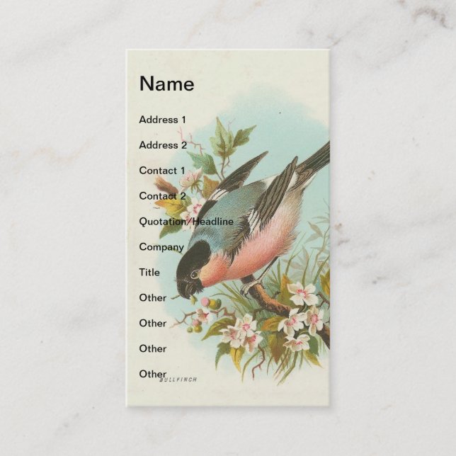 Tarjeta De Visita Vintage Bullfinch (Anverso)