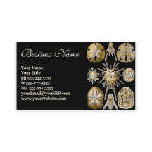 Vintage Sea Urchins Sand Dollars por Ernst Haeckel