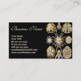 Tarjeta De Visita Vintage Sea Urchins Sand Dollars por Ernst Haeckel