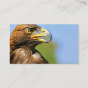 Tarjeta De Visita Visión de una bella joven águila dorada