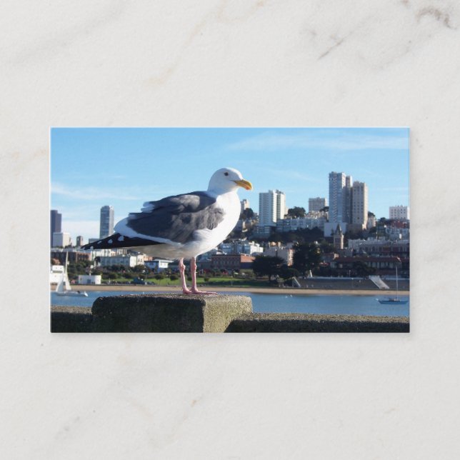 Tarjeta De Visita vista de aves de san francisco (Anverso)