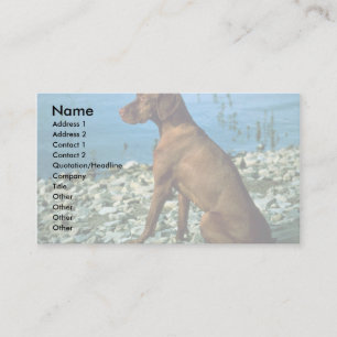 Tarjeta De Visita Vizsla