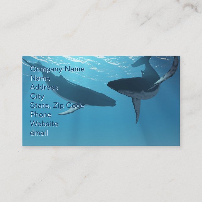 Tarjeta De Visita Whale Wonders (Anverso)