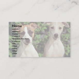Tarjeta De Visita Whippets