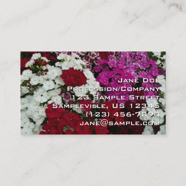 Tarjeta De Visita White, Pink and Red Dianthus Floral (Anverso)