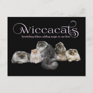 Tarjeta de visita WiccaCats LARGE