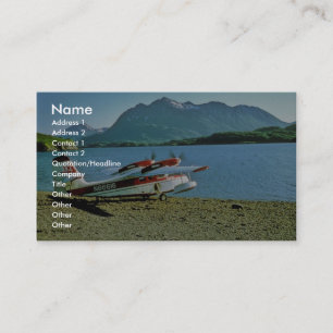 Tarjeta De Visita Widgeon Grumman N86616