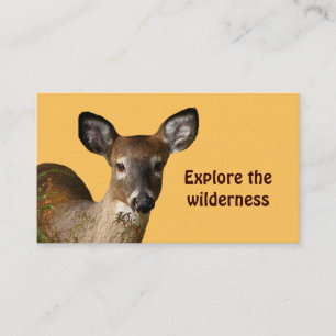 Tarjeta De Visita Wilderness Tours