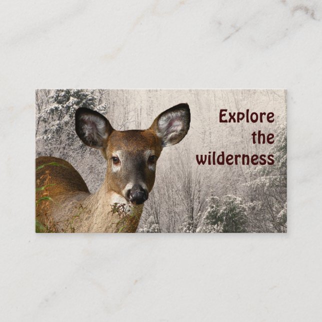 Tarjeta De Visita Wilderness Tours (Anverso)