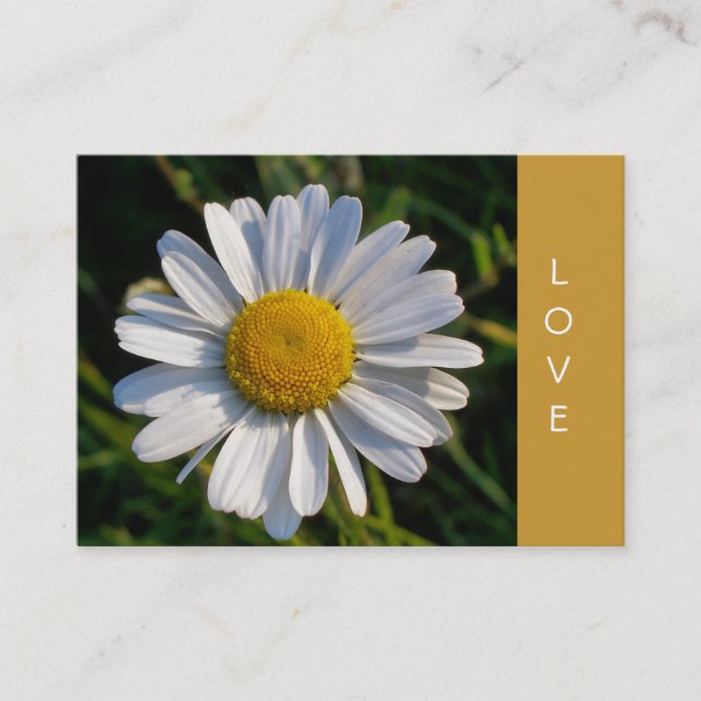 TARJETA DE VISITA WILDFLOWERS (Anverso)